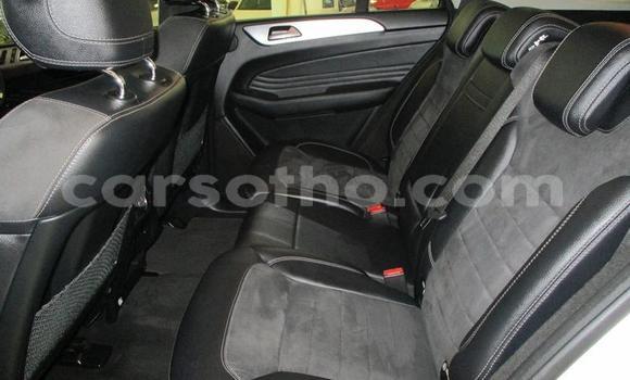 اشتري مستعمل Mercedes-Benz ML–Class White سيارة في Maseru في Maseru اشتري مستعمل Mercedes-Benz ML–Class White سيارة في Maseru في Maseru