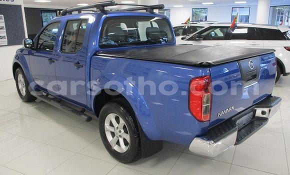 Sayi Na hannu Nissan Navara Blue Mota in Maseru a Maseru Sayi Na hannu Nissan Navara Blue Mota in Maseru a Maseru