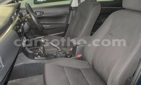 Sayi Na hannu Toyota Corolla Blue Mota in Maseru a Maseru Sayi Na hannu Toyota Corolla Blue Mota in Maseru a Maseru