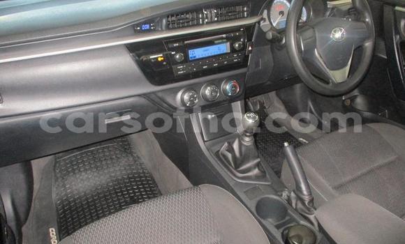 Sayi Na hannu Toyota Corolla Blue Mota in Maseru a Maseru Sayi Na hannu Toyota Corolla Blue Mota in Maseru a Maseru
