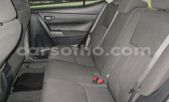 Sayi Na hannu Toyota Corolla Blue Mota in Maseru a Maseru Sayi Na hannu Toyota Corolla Blue Mota in Maseru a Maseru