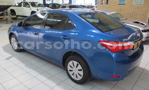 Sayi Na hannu Toyota Corolla Blue Mota in Maseru a Maseru Sayi Na hannu Toyota Corolla Blue Mota in Maseru a Maseru