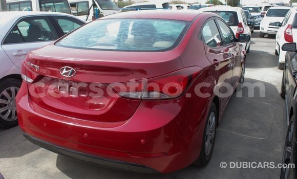 Buy Import Hyundai Elantra Red Car in Import - Dubai in Maseru Buy Import Hyundai Elantra Red Car in Import - Dubai in Maseru