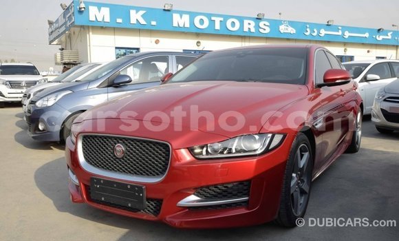 Acheter Import Voiture Jaguar XE Rouge à Import - Dubai, Maseru Acheter Import Voiture Jaguar XE Rouge à Import - Dubai, Maseru