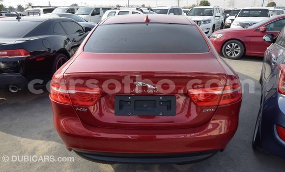 Acheter Import Voiture Jaguar XE Rouge à Import - Dubai, Maseru Acheter Import Voiture Jaguar XE Rouge à Import - Dubai, Maseru