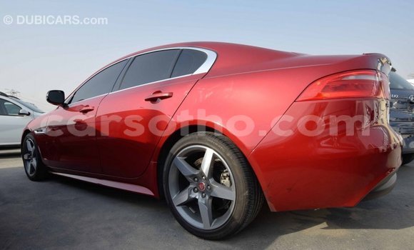 Acheter Import Voiture Jaguar XE Rouge à Import - Dubai, Maseru Acheter Import Voiture Jaguar XE Rouge à Import - Dubai, Maseru