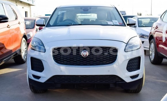 Buy Import Jaguar E-Pace White Car in Import - Dubai in Maseru Buy Import Jaguar E-Pace White Car in Import - Dubai in Maseru