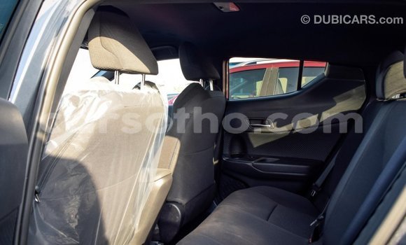 Sayi Imported Toyota C-HR Other Mota in Import - Dubai a Maseru Sayi Imported Toyota C-HR Other Mota in Import - Dubai a Maseru