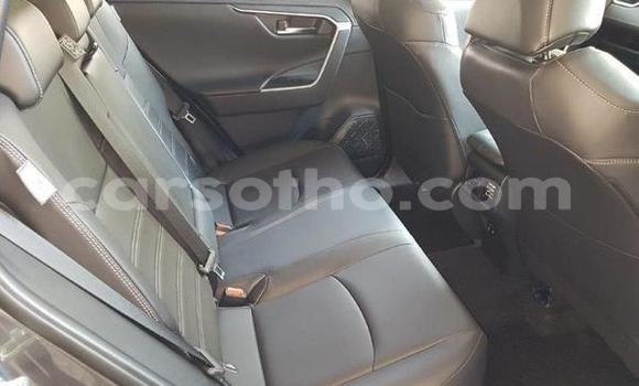 Acheter Occasion Voiture Toyota RAV4 Noir à Hlotse, Leribe Acheter Occasion Voiture Toyota RAV4 Noir à Hlotse, Leribe