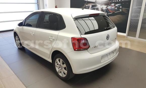 Buy Used Volkswagen Polo White Car in Maseru in Maseru Buy Used Volkswagen Polo White Car in Maseru in Maseru