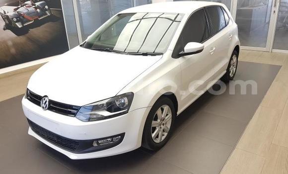 Buy Used Volkswagen Polo White Car in Maseru in Maseru Buy Used Volkswagen Polo White Car in Maseru in Maseru