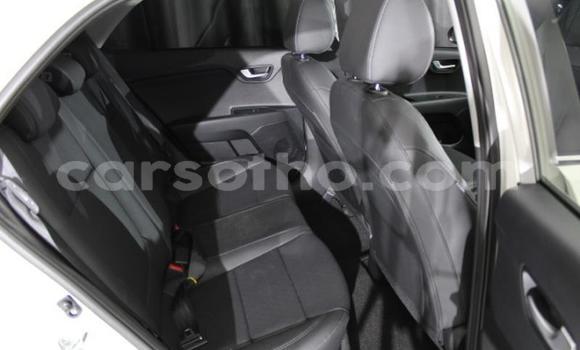 Buy Used Kia Rio White Car in Maseru in Maseru Buy Used Kia Rio White Car in Maseru in Maseru