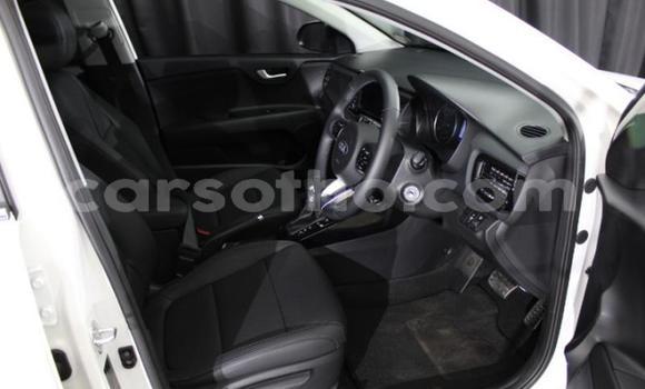 Buy Used Kia Rio White Car in Maseru in Maseru Buy Used Kia Rio White Car in Maseru in Maseru