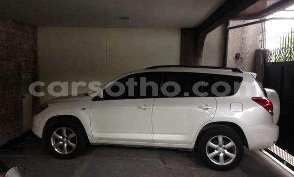 Buy Used Toyota RAV4 White Car in Mohale's Hoek in Mohale's Hoek Buy Used Toyota RAV4 White Car in Mohale's Hoek in Mohale's Hoek