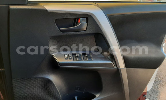 اشتري مستعمل Toyota RAV4 Red سيارة في Hlotse في Leribe اشتري مستعمل Toyota RAV4 Red سيارة في Hlotse في Leribe