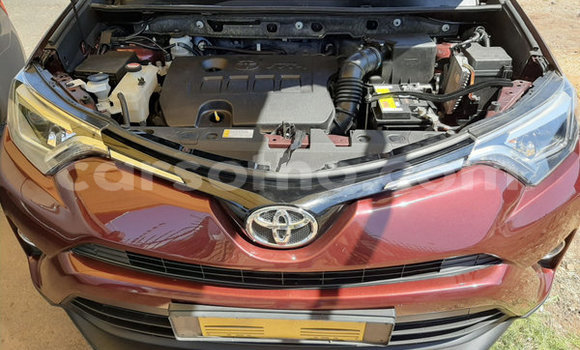 اشتري مستعمل Toyota RAV4 Red سيارة في Hlotse في Leribe اشتري مستعمل Toyota RAV4 Red سيارة في Hlotse في Leribe