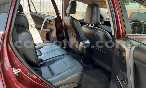 اشتري مستعمل Toyota RAV4 Red سيارة في Hlotse في Leribe اشتري مستعمل Toyota RAV4 Red سيارة في Hlotse في Leribe
