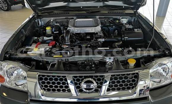 Sayi Na hannu Nissan NP 300 Other Mota in Hlotse a Leribe Sayi Na hannu Nissan NP 300 Other Mota in Hlotse a Leribe