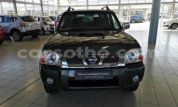 Sayi Na hannu Nissan NP 300 Other Mota in Hlotse a Leribe Sayi Na hannu Nissan NP 300 Other Mota in Hlotse a Leribe