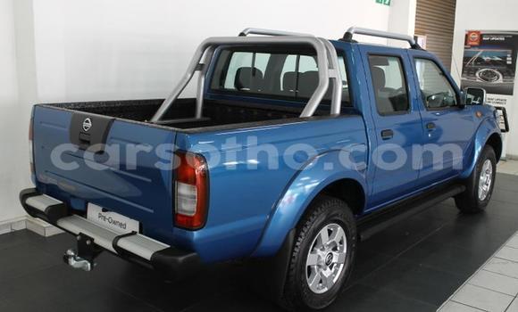 Acheter Occasion Voiture Nissan NP 300 Bleu à Butha–Buthe, Thaba-Tseka Acheter Occasion Voiture Nissan NP 300 Bleu à Butha–Buthe, Thaba-Tseka