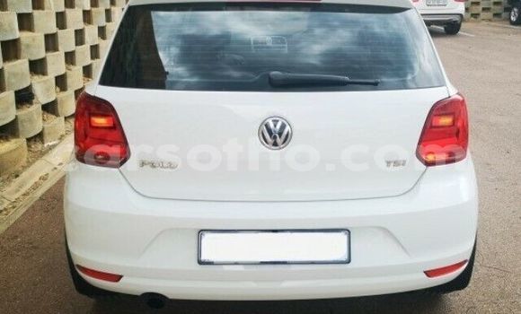 اشتري مستعمل Volkswagen Polo White سيارة في Hlotse في Leribe اشتري مستعمل Volkswagen Polo White سيارة في Hlotse في Leribe