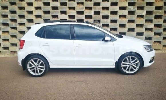 اشتري مستعمل Volkswagen Polo White سيارة في Hlotse في Leribe اشتري مستعمل Volkswagen Polo White سيارة في Hlotse في Leribe