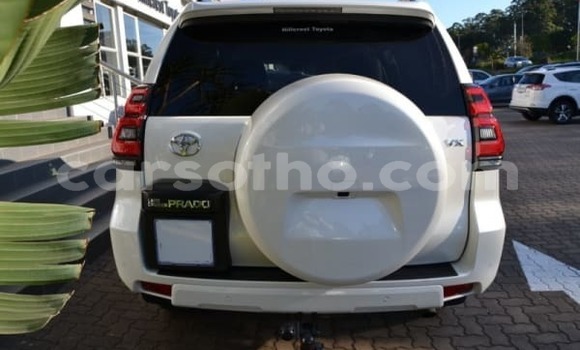 Sayi Sabo Toyota Prado White Mota in Butha–Buthe a Thaba-Tseka Sayi Sabo Toyota Prado White Mota in Butha–Buthe a Thaba-Tseka