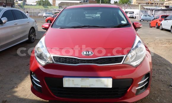 Buy Used Kia Rio Red Car in Mafeteng in Mafeteng Buy Used Kia Rio Red Car in Mafeteng in Mafeteng