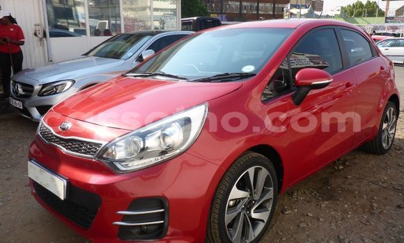 Buy Used Kia Rio Red Car in Mafeteng in Mafeteng Buy Used Kia Rio Red Car in Mafeteng in Mafeteng