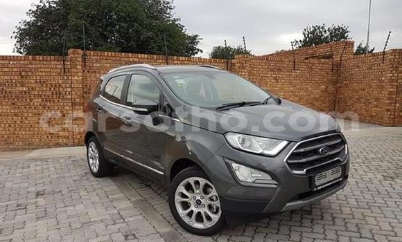 اشتري مستعمل Ford EcoSport Other سيارة في Maseru في Maseru اشتري مستعمل Ford EcoSport Other سيارة في Maseru في Maseru