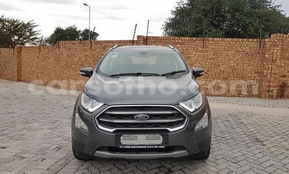 اشتري مستعمل Ford EcoSport Other سيارة في Maseru في Maseru اشتري مستعمل Ford EcoSport Other سيارة في Maseru في Maseru