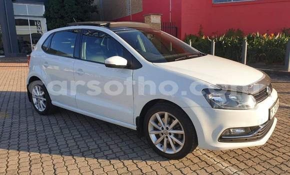Buy Used Volkswagen Polo White Car in Maseru in Maseru Buy Used Volkswagen Polo White Car in Maseru in Maseru