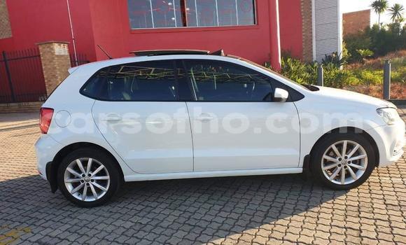 Buy Used Volkswagen Polo White Car in Maseru in Maseru Buy Used Volkswagen Polo White Car in Maseru in Maseru