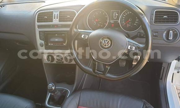 Buy Used Volkswagen Polo White Car in Maseru in Maseru Buy Used Volkswagen Polo White Car in Maseru in Maseru