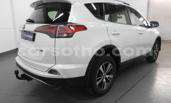 Buy Used Toyota RAV4 White Car in Maputsoa in Leribe Buy Used Toyota RAV4 White Car in Maputsoa in Leribe
