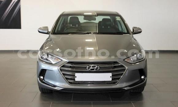 Acheter Occasion Voiture Hyundai Elantra Gris à Maseru, Maseru Acheter Occasion Voiture Hyundai Elantra Gris à Maseru, Maseru