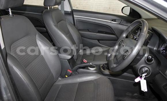 Acheter Occasion Voiture Hyundai Elantra Gris à Maseru, Maseru Acheter Occasion Voiture Hyundai Elantra Gris à Maseru, Maseru