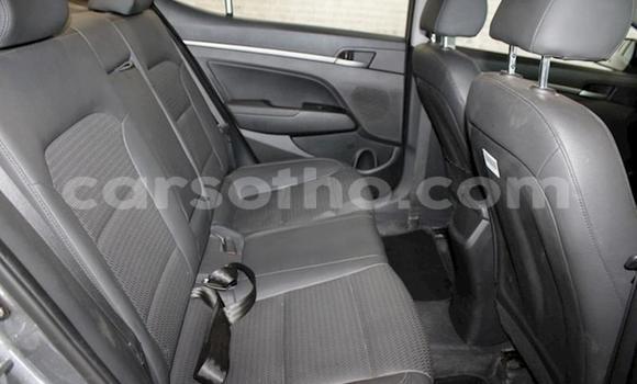 Acheter Occasion Voiture Hyundai Elantra Gris à Maseru, Maseru Acheter Occasion Voiture Hyundai Elantra Gris à Maseru, Maseru