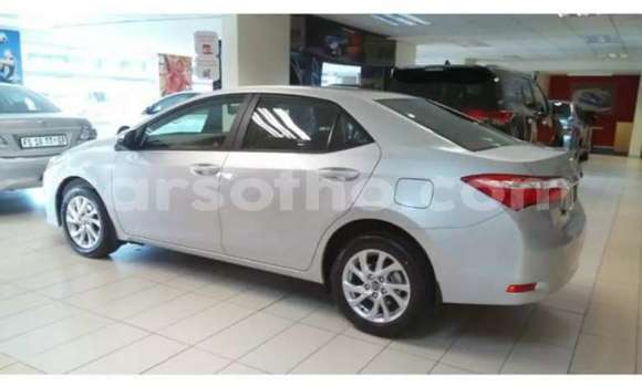 Buy Used Toyota Corolla Silver Car in Maputsoa in Leribe Buy Used Toyota Corolla Silver Car in Maputsoa in Leribe