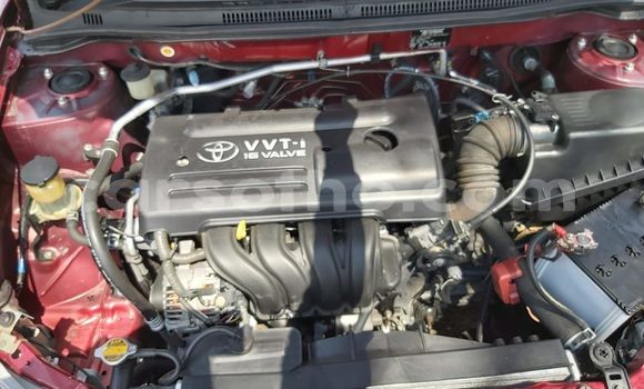 Sayi Na hannu Toyota Runx Red Mota in Hlotse a Leribe Sayi Na hannu Toyota Runx Red Mota in Hlotse a Leribe