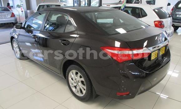 Sayi Na hannu Toyota Corolla Black Mota in Maseru a Maseru Sayi Na hannu Toyota Corolla Black Mota in Maseru a Maseru