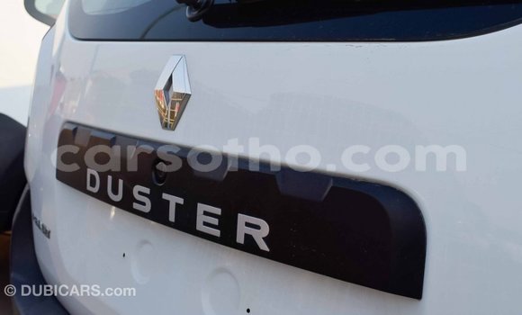 Buy Import Renault Duster White Car in Import - Dubai in Maseru Buy Import Renault Duster White Car in Import - Dubai in Maseru