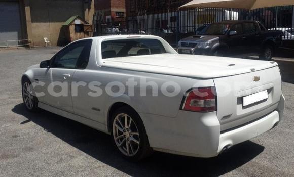 Sayi Na hannu Chevrolet Lumina White Mota in Maputsoa a Leribe Sayi Na hannu Chevrolet Lumina White Mota in Maputsoa a Leribe