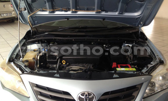 اشتري مستعمل Toyota Corolla Blue سيارة في Maputsoa في Leribe اشتري مستعمل Toyota Corolla Blue سيارة في Maputsoa في Leribe