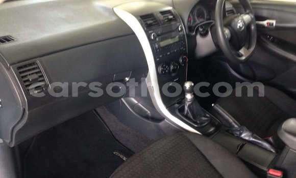 اشتري مستعمل Toyota Corolla Blue سيارة في Maputsoa في Leribe اشتري مستعمل Toyota Corolla Blue سيارة في Maputsoa في Leribe