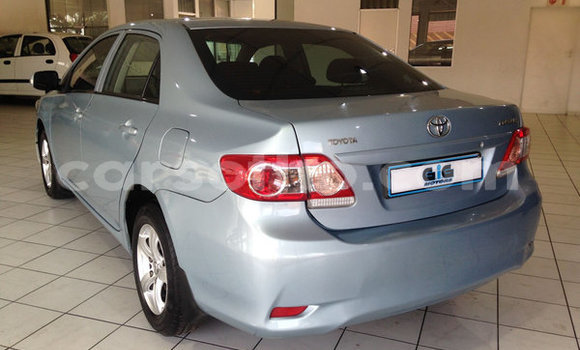 اشتري مستعمل Toyota Corolla Blue سيارة في Maputsoa في Leribe اشتري مستعمل Toyota Corolla Blue سيارة في Maputsoa في Leribe