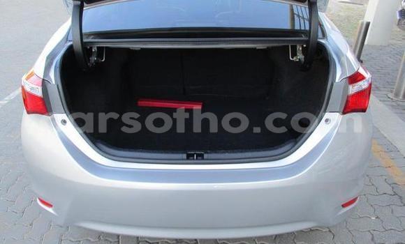 Acheter Occasion Voiture Toyota Corolla Gris à Hlotse, Leribe Acheter Occasion Voiture Toyota Corolla Gris à Hlotse, Leribe