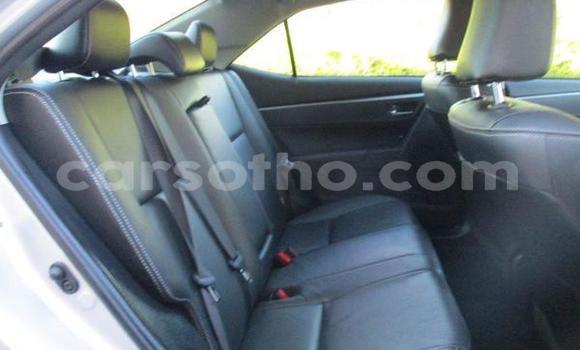 Acheter Occasion Voiture Toyota Corolla Gris à Hlotse, Leribe Acheter Occasion Voiture Toyota Corolla Gris à Hlotse, Leribe