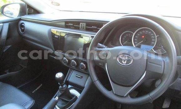 Acheter Occasion Voiture Toyota Corolla Gris à Hlotse, Leribe Acheter Occasion Voiture Toyota Corolla Gris à Hlotse, Leribe