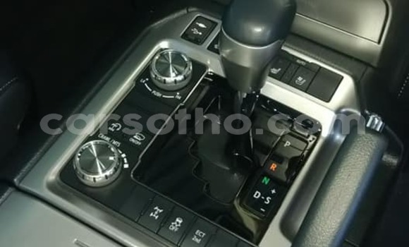 Buy Used Toyota Land Cruiser Prado Beige Car in Hlotse in Leribe Buy Used Toyota Land Cruiser Prado Beige Car in Hlotse in Leribe